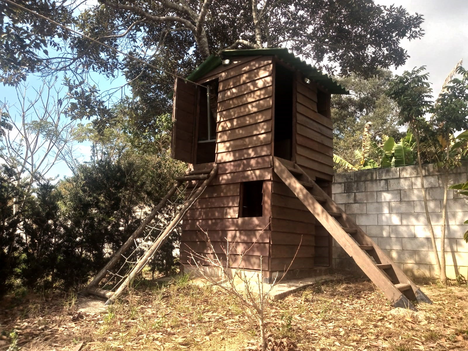 Casa na Árvore Uma Aventura para Todas as Idades